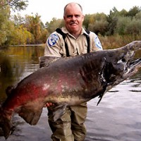 Web design in Anderson, CA