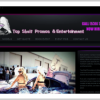 another web design by Hall of Fame Web Design in Redding CA